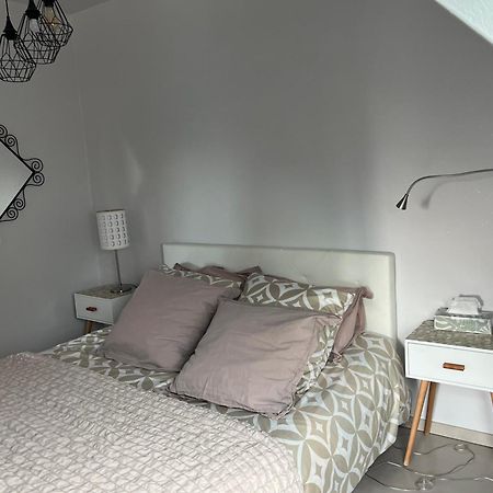 Studio Strasbourg Niederhausbergen Экстерьер фото